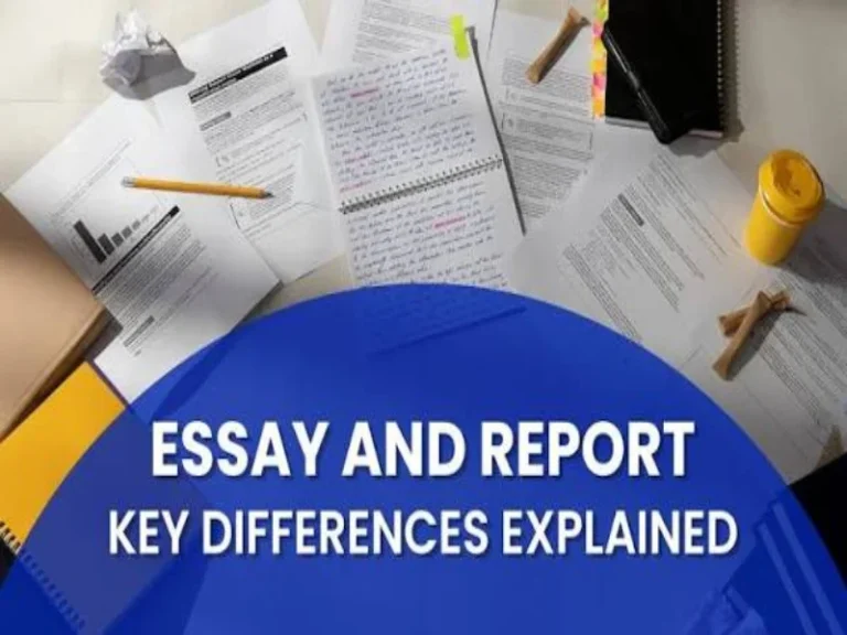 Essay